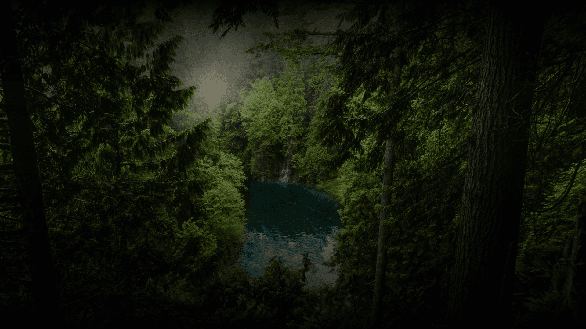 Mist moving through forested mountain slopes